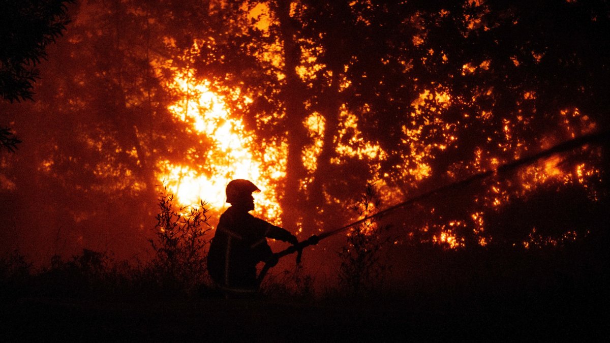A firefighter sprays water on a burning forest close to a residential area during a wildfire near Lege-Cap-Ferret, France, July 23, 2026. (AFP Photo)
