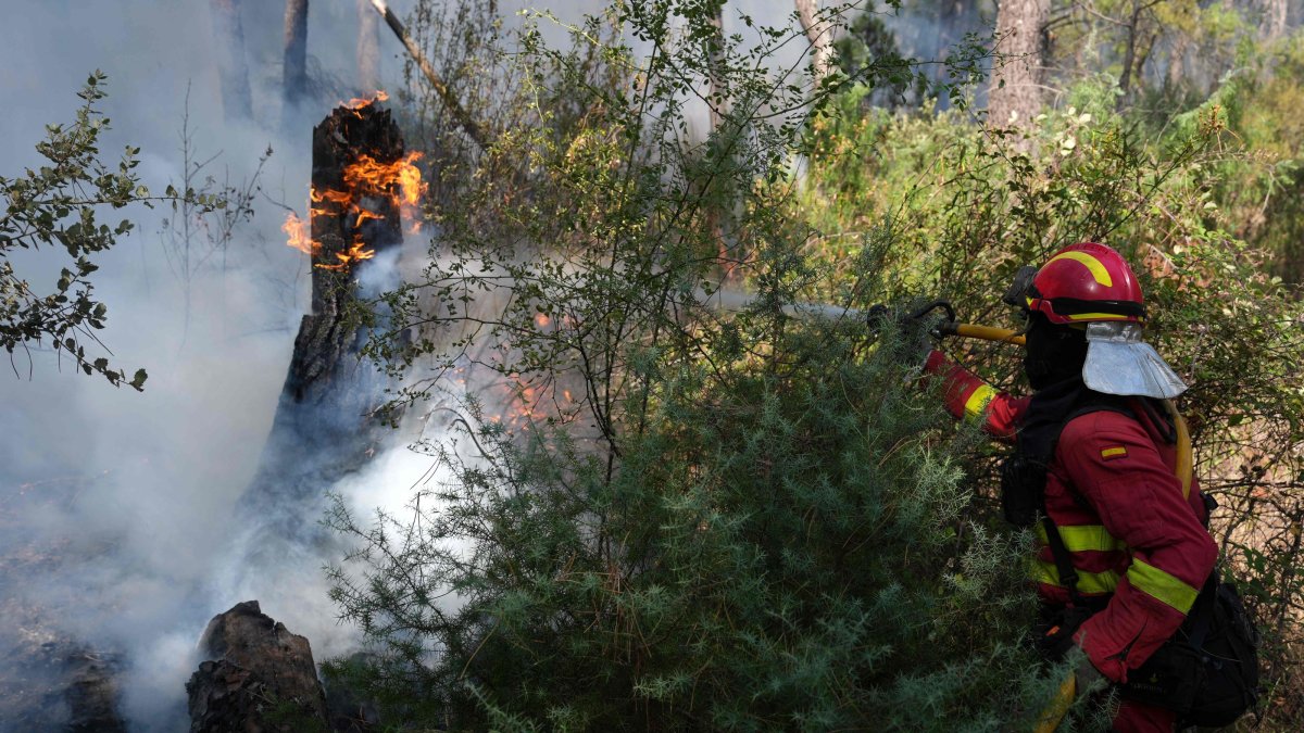 A Spain's Military Emergencies Unit (UME) firefighter waters a burning tree in a forest next to La Atalaya residential area amid wildfires that have burned up to 25,000 hectares, El Tiemblo, 80 kms west of Madrid, Spain, July 25, 2026. (AFP Photo)