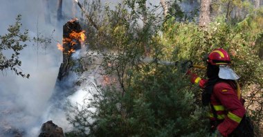 A Spain's Military Emergencies Unit (UME) firefighter waters a burning tree in a forest next to La Atalaya residential area amid wildfires that have burned up to 25,000 hectares, El Tiemblo, 80 kms west of Madrid, Spain, July 25, 2026. (AFP Photo)