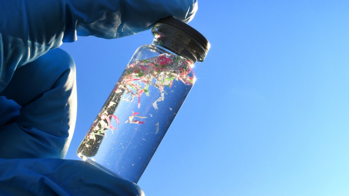 A water sample contaminated with microplastics. (Shutterstock Photo)