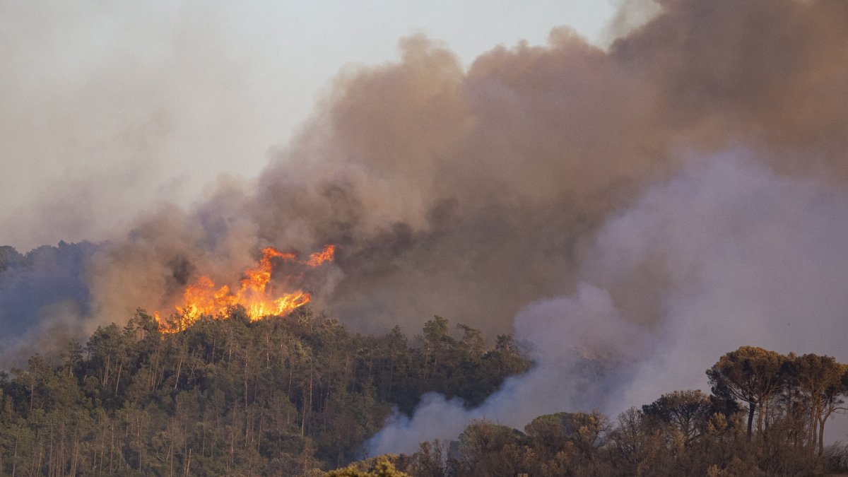 Firefighters battle a wildfire in Catalonia as flames spread, prompting mass evacuations, Girona, Spain, 3 July, 2026. (AA Photo)