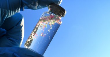 A water sample contaminated with microplastics. (Shutterstock Photo)