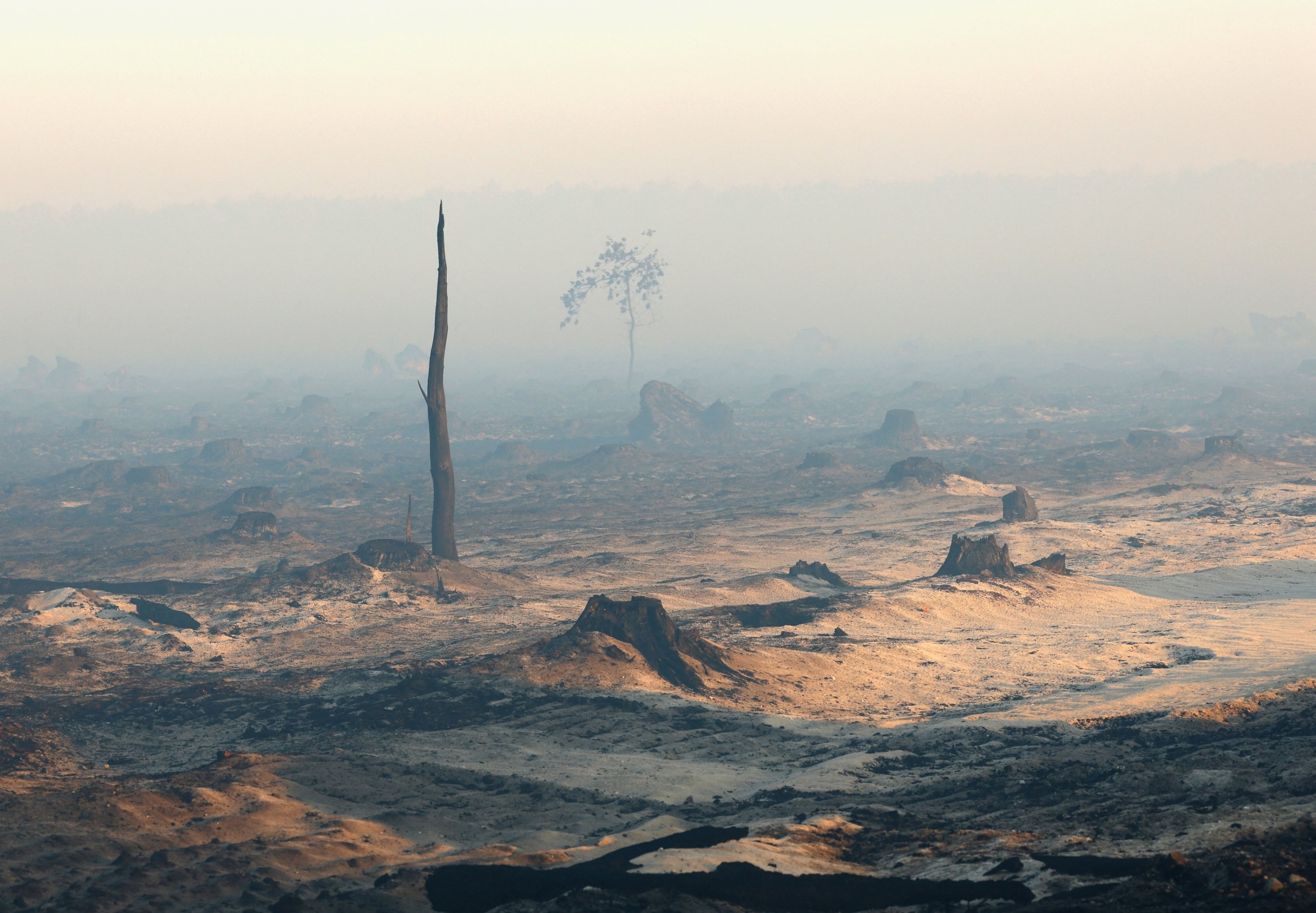 France, Spain continue battling major wildfires as extreme heat returns