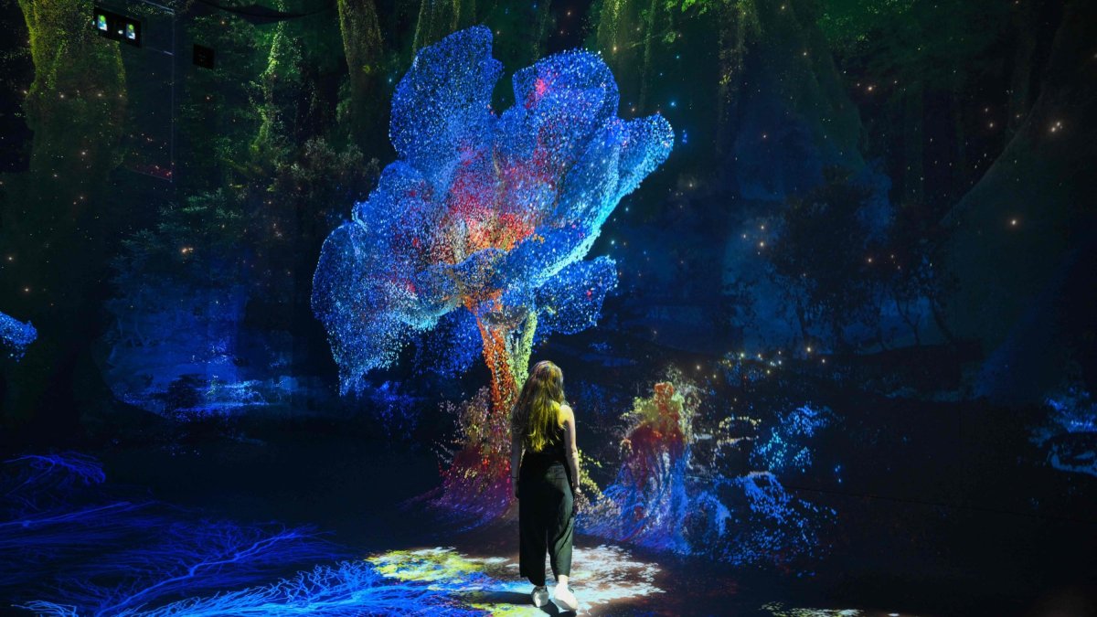 A person walks through immersive visualizations from the inaugural exhibition "Machine Dreams: Rainforest are projected at DATALAND," the Museum of AI Arts, Los Angeles, U.S., June 9, 2026. (AFP Photo)