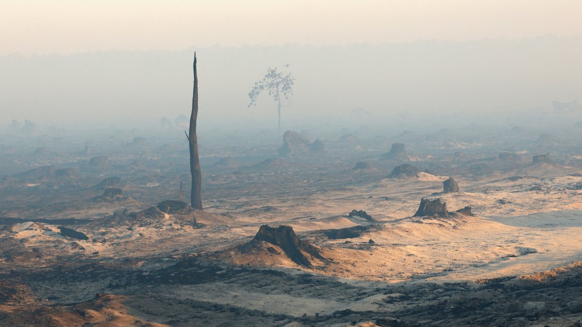 Smoke and fog in a burnt forest affected by a wildfire amid drought conditions following a heatwave and water shortages, near Saumos, Gironde, France, July 28, 2026. (Reuters Photo)