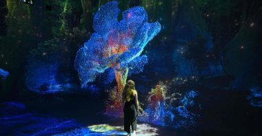 A person walks through immersive visualizations from the inaugural exhibition "Machine Dreams: Rainforest are projected at DATALAND," the Museum of AI Arts, Los Angeles, U.S., June 9, 2026. (AFP Photo)