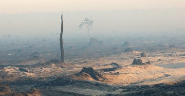 Smoke and fog in a burnt forest affected by a wildfire amid drought conditions following a heatwave and water shortages, near Saumos, Gironde, France, July 28, 2026. (Reuters Photo)
