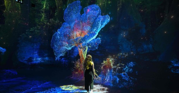 A person walks through immersive visualizations from the inaugural exhibition "Machine Dreams: Rainforest are projected at DATALAND," the Museum of AI Arts, Los Angeles, U.S., June 9, 2026. (AFP Photo)
