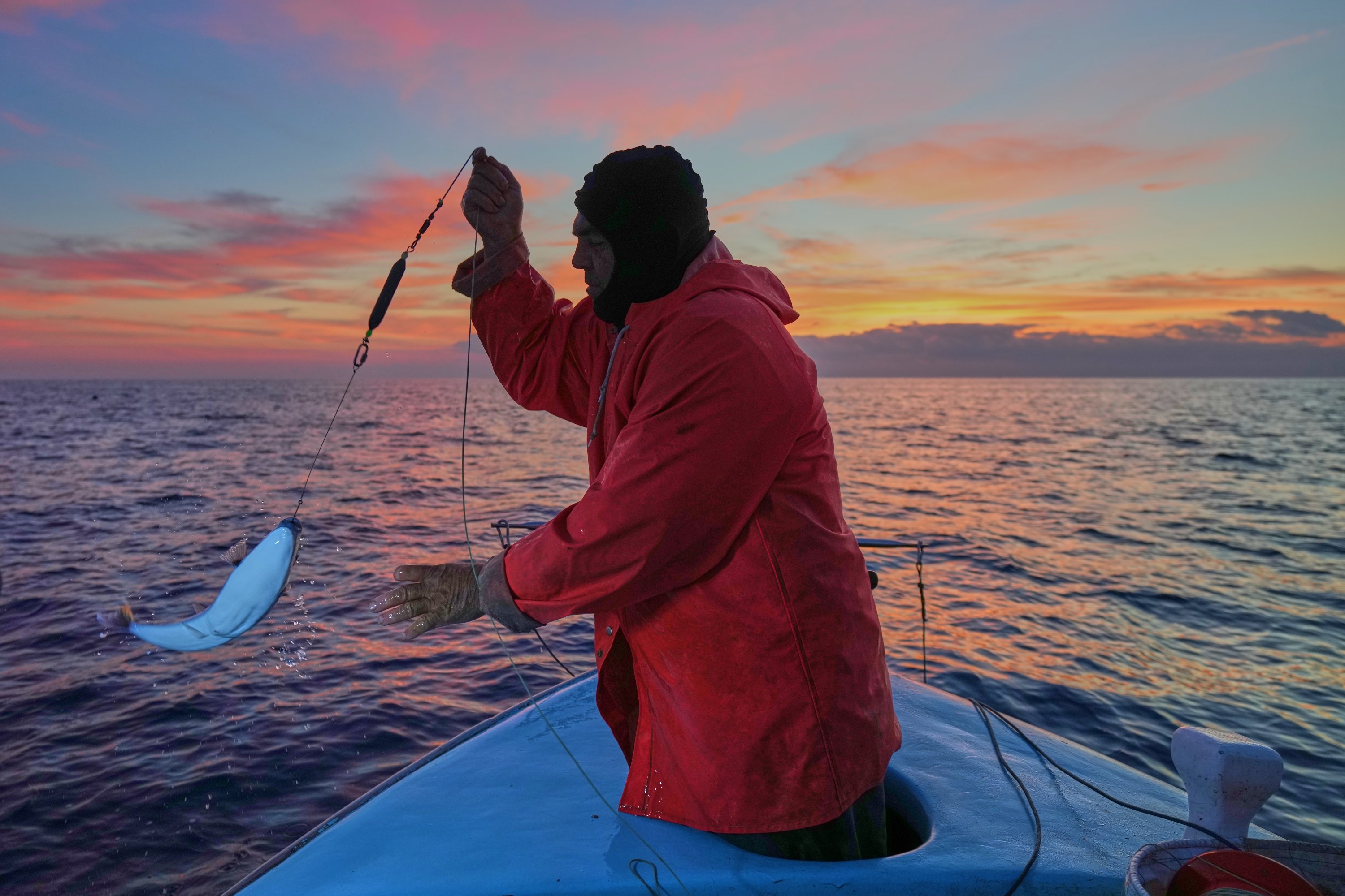 Warming Mediterranean fuels spread of invasive species: Scientists