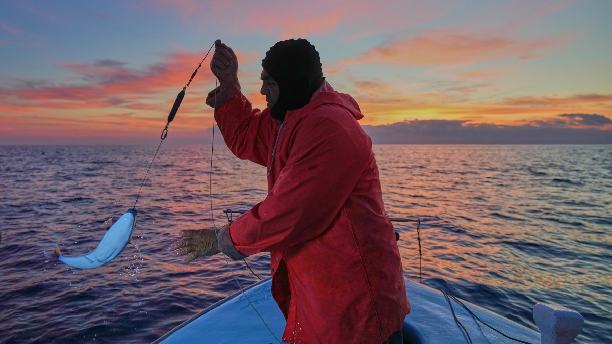 Fisherman Photis Gaitanos catches a toadfish while fishing from his boat off the coast of Larnaca, the island of Cyprus, Dec. 20, 2025. (AP Photo)