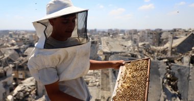 A Palestinian beekeeper holds a beehive frame while inspecting hives installed on top of a ruined building, amid widespread destruction and a shortage of space, Gaza City, Palestine, June 25, 2026. (Reuters Photo)