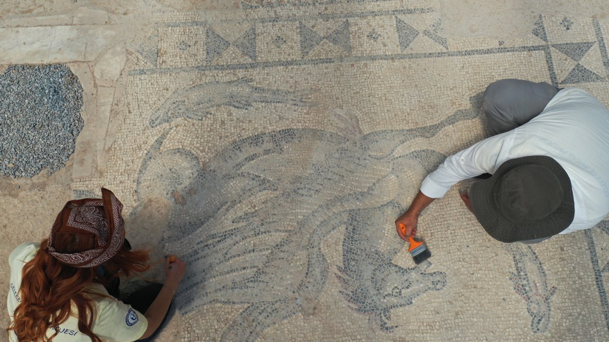 Experts work on a Roman-era floor mosaic at the ancient city of Tralleis, Aydın, western Türkiye, July 7, 2026. (AA Photo)