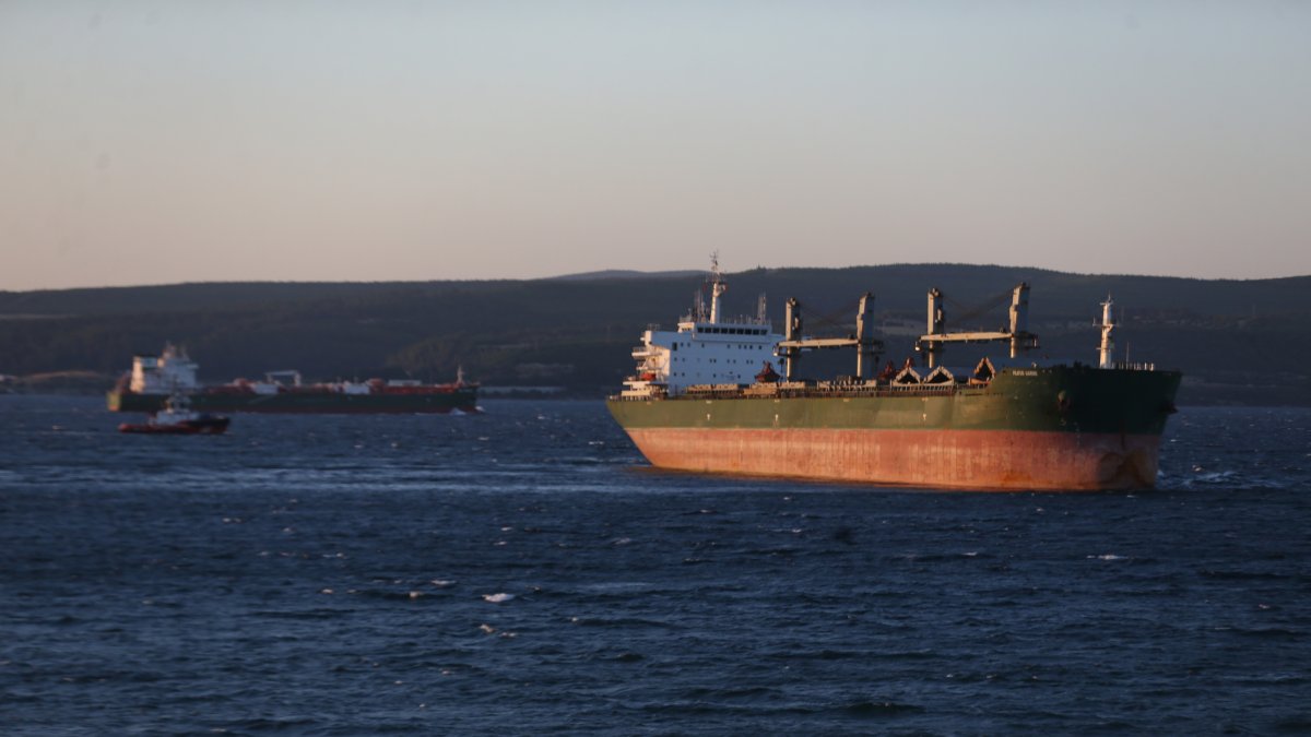 Ships are seen in the Çanakkale Strait, Türkiye, July 29, 2026. (AA Photo)