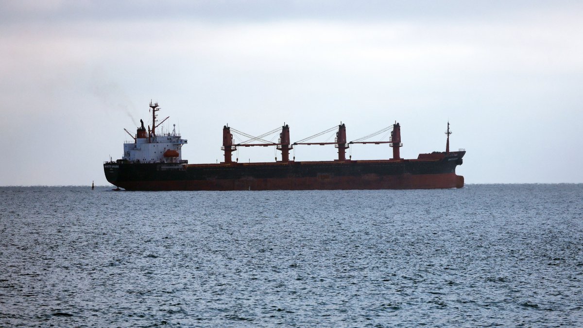 A ship is in the Black Sea off the coast of Odesa, Ukraine, Nov. 27, 2024. (AFP File Photo)