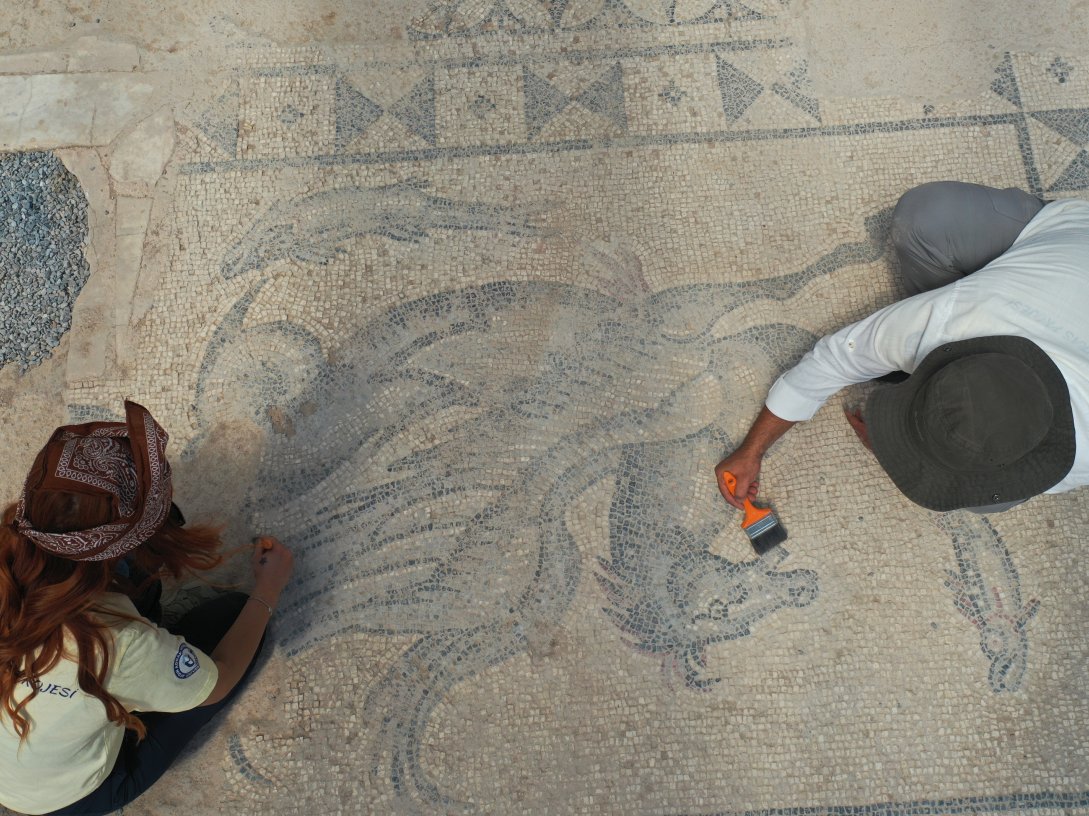 Experts work on a Roman-era floor mosaic at the ancient city of Tralleis, Aydın, western Türkiye, July 7, 2026. (AA Photo)