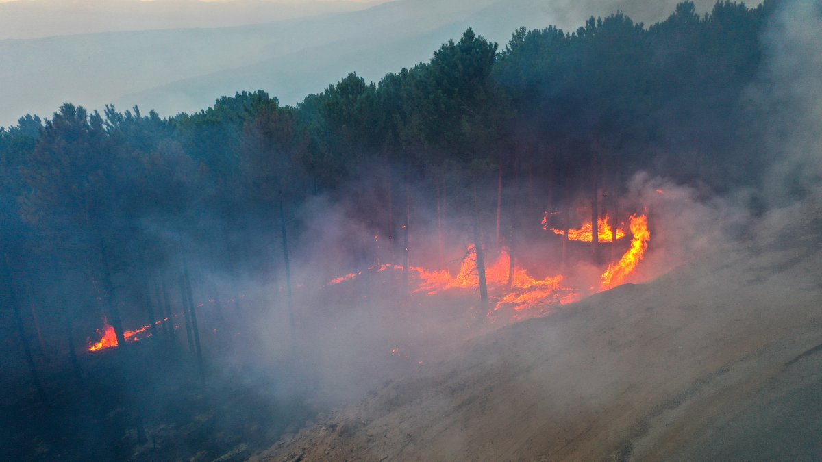 Firefighters battle a wildfire that continues to burn in a forested area of Çine, Aydın, Türkiye, July 31, 2026. (AA Photo)