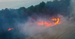 Firefighters battle a wildfire that continues to burn in a forested area of Çine, Aydın, Türkiye, July 31, 2026. (AA Photo)