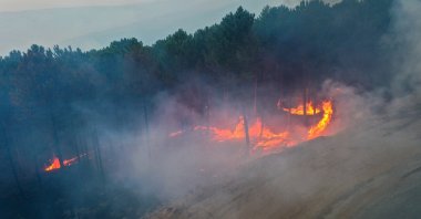 Firefighters battle a wildfire that continues to burn in a forested area of Çine, Aydın, Türkiye, July 31, 2026. (AA Photo)