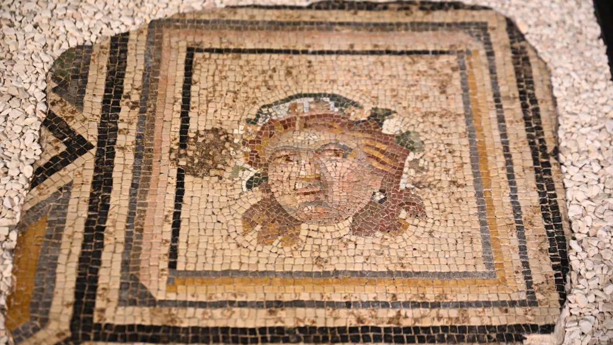 The 13th panel of the Gypsy Girl mosaic, returned to Türkiye from the United States, is displayed at the Zeugma Mosaic Museum, Gaziantep, Türkiye, July 14, 2026. (AA Photo)
