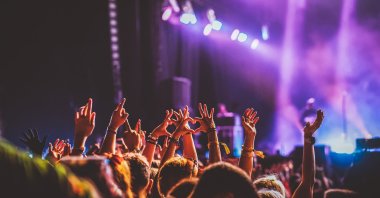 Festivalgoers enjoy a live music performance during a festival. (Shutterstock Photo)