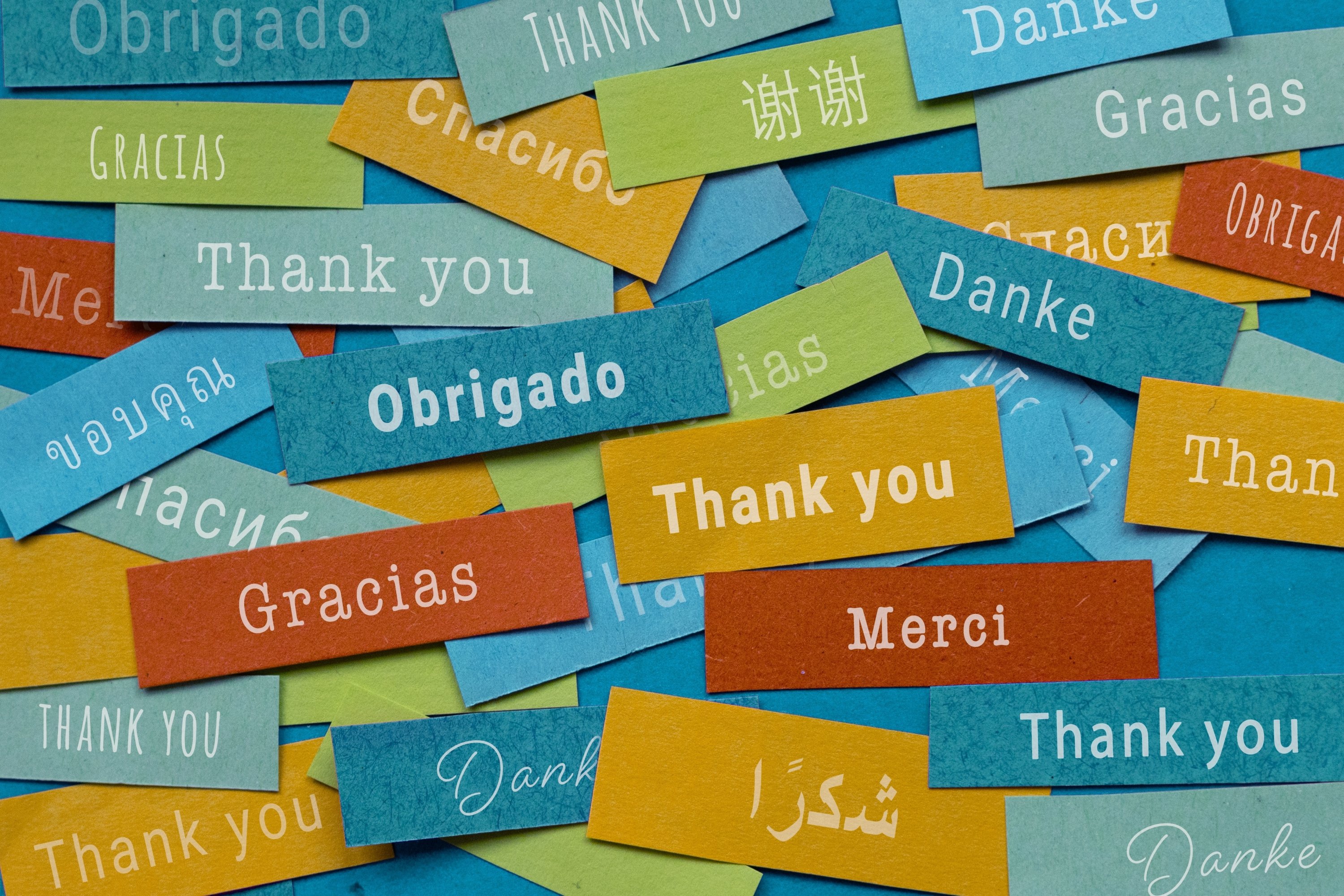 World’s top 15 most beautiful words include Turkish ‘yakamoz’