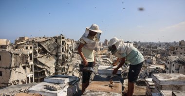 The sons of Ibrahim al-Dabba, head of the Beekeepers Cooperative in the Gaza Strip, tend to beehives with their father on the roof of a destroyed building in Tel al-Hawa neighbourhood, where the displaced family has taken refuge, Gaza City, Palestine, Aug. 5, 2026. (AFP Photo)