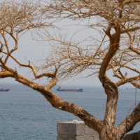 Vessels near the Strait of Hormuz, as seen from Musandam, Oman, August 10, 2026. (Reuters Photo)