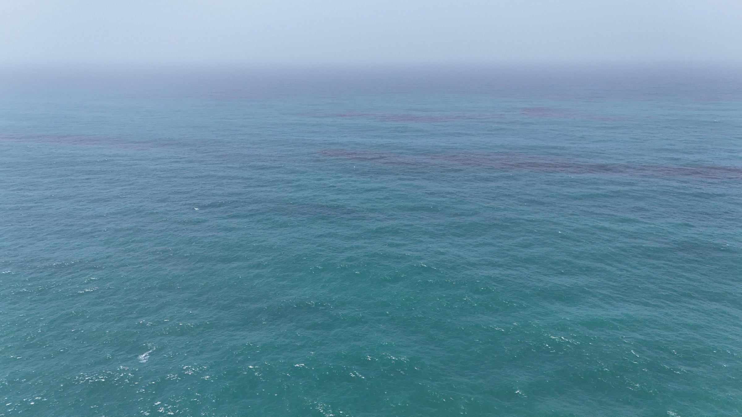 Oil floats on the sea surface off the coast of Oman, according to the Omani Environment Authority, in this handout image released on Aug. 10, 2026. (Handout via Reuters)