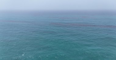 Oil floats on the sea surface off the coast of Oman, according to the Omani Environment Authority, in this handout image released on Aug. 10, 2026. (Handout via Reuters)