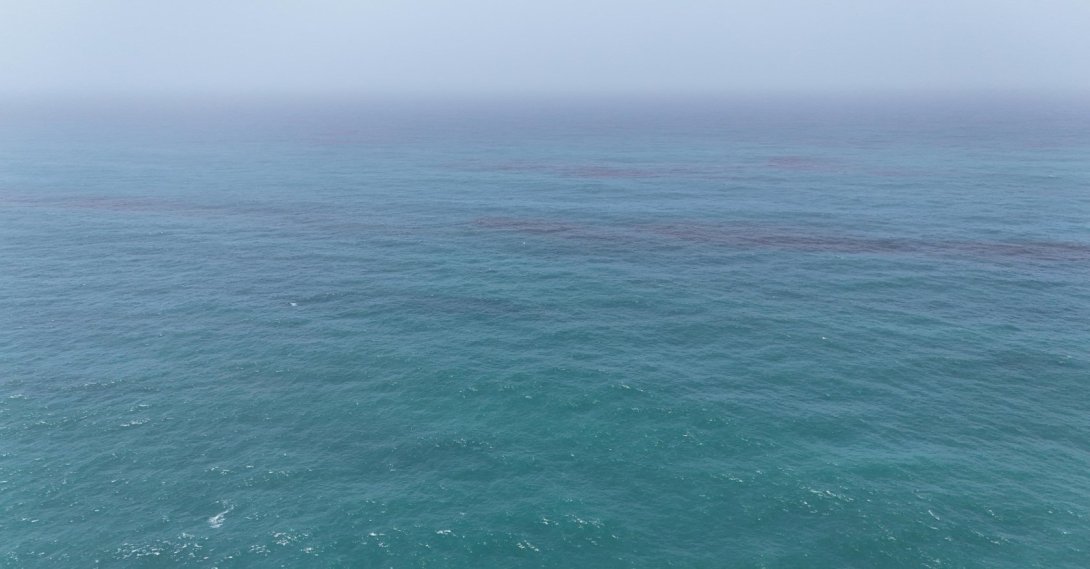 Oil floats on the sea surface off the coast of Oman, according to the Omani Environment Authority, in this handout image released on Aug. 10, 2026. (Handout via Reuters)