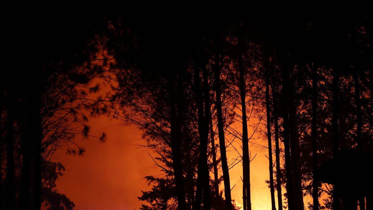 Firefighters battle a wildfire in the Landes forest, Luglon, France, Aug. 13, 2026. (AFP Photo)