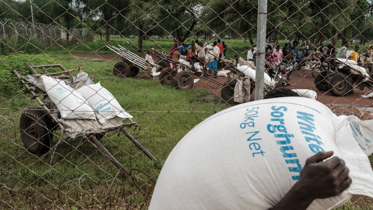 Volunteer porters load bags of sorghum onto carts during an aid distribution exercise in exchange for food, as most no longer qualify for aid themselves, in Maban, Aug. 20, 2025. (AFP File Photo)