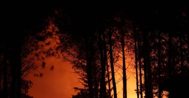 Firefighters battle a wildfire in the Landes forest, Luglon, France, Aug. 13, 2026. (AFP Photo)