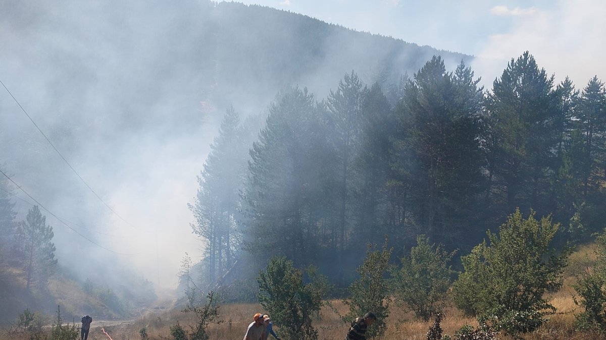 Firefighting teams work to bring a forest fire under control in Taşköprü, Kastamonu, Türkiye, Aug. 14, 2026. (AA Photo)