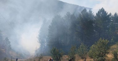 Firefighting teams work to bring a forest fire under control in Taşköprü, Kastamonu, Türkiye, Aug. 14, 2026. (AA Photo)