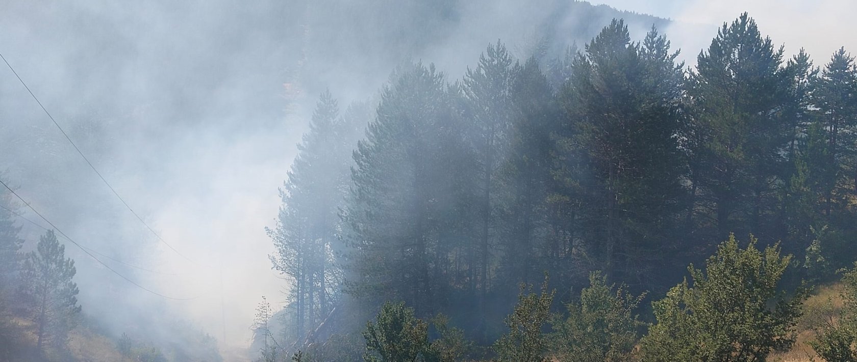 Firefighting teams work to bring a forest fire under control in Taşköprü, Kastamonu, Türkiye, Aug. 14, 2026. (AA Photo)