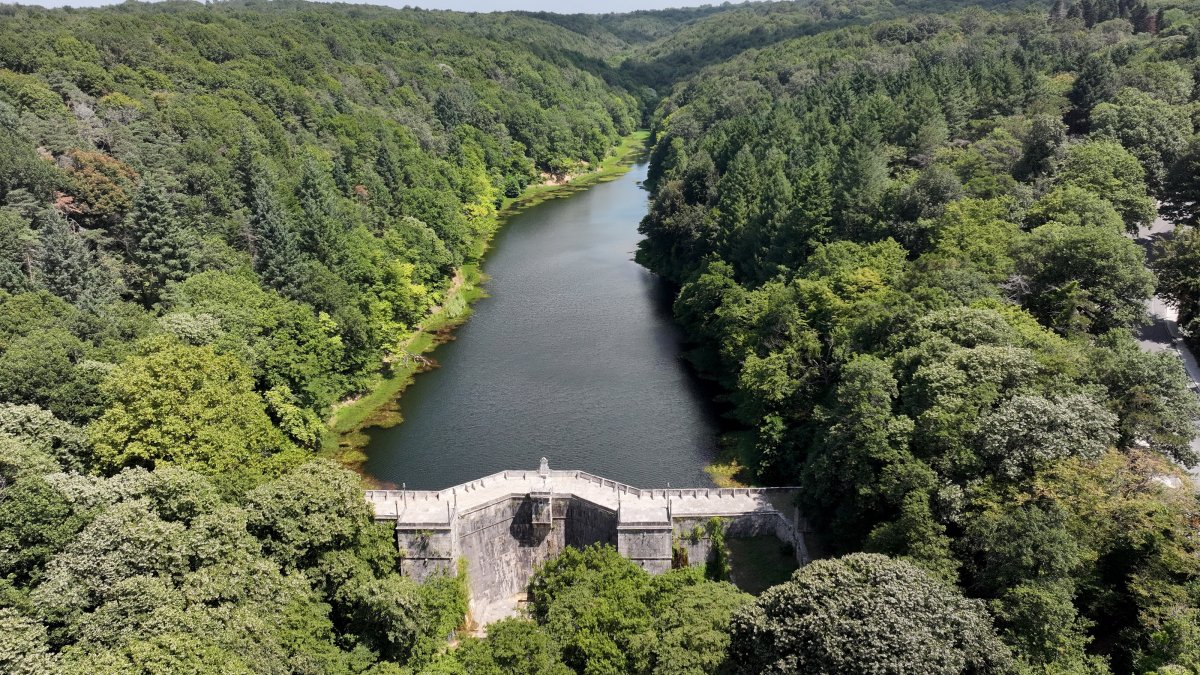 An aerial view shows the historic Topuzlu Reservoir in Sarıyer district, Istanbul, Türkiye, Aug. 5, 2026. (AA Photo) 