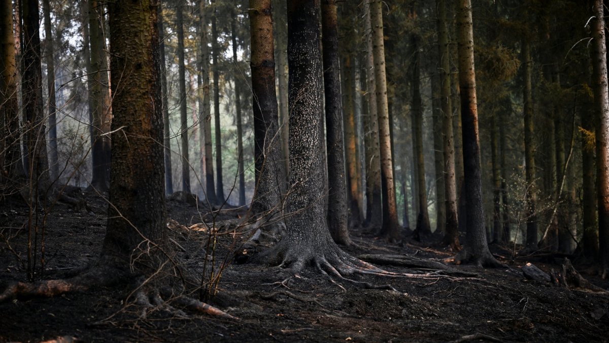 Climate damage: Europe's next big fiscal headache