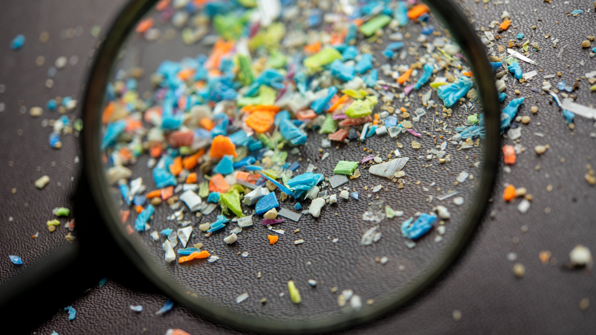 Higher concentrations of nano-and microplastics in the central nervous system may be associated with an increased risk of amyotrophic lateral sclerosis (ALS), according to a new Italian study. (Shutterstock Photo)