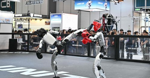 Two Unitree robots in a fight demonstration during the 2026 World Robot Conference, Beijing, China, Aug. 19, 2026. (AFP Photo)