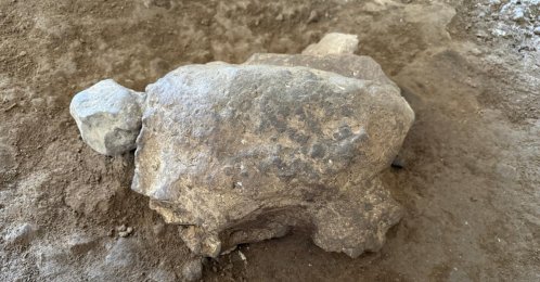 A turtle figurine believed to date back as far as 16,500 years are seen at Gedikkaya Hill and In Cave archaeological site, Bilecik, northwestern Türkiye, July 28, 2026. (AA Photo)