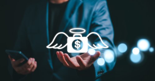Angel network investments peaked in 2021 when they accounted for 15.6% of all transactions. (Shutterstock Photo)
