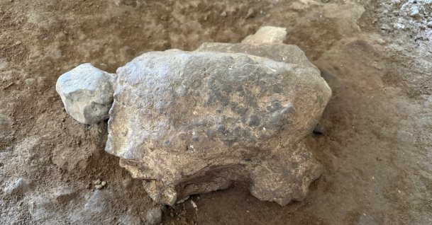 A turtle figurine believed to date back as far as 16,500 years are seen at Gedikkaya Hill and In Cave archaeological site, Bilecik, northwestern Türkiye, July 28, 2026. (AA Photo)