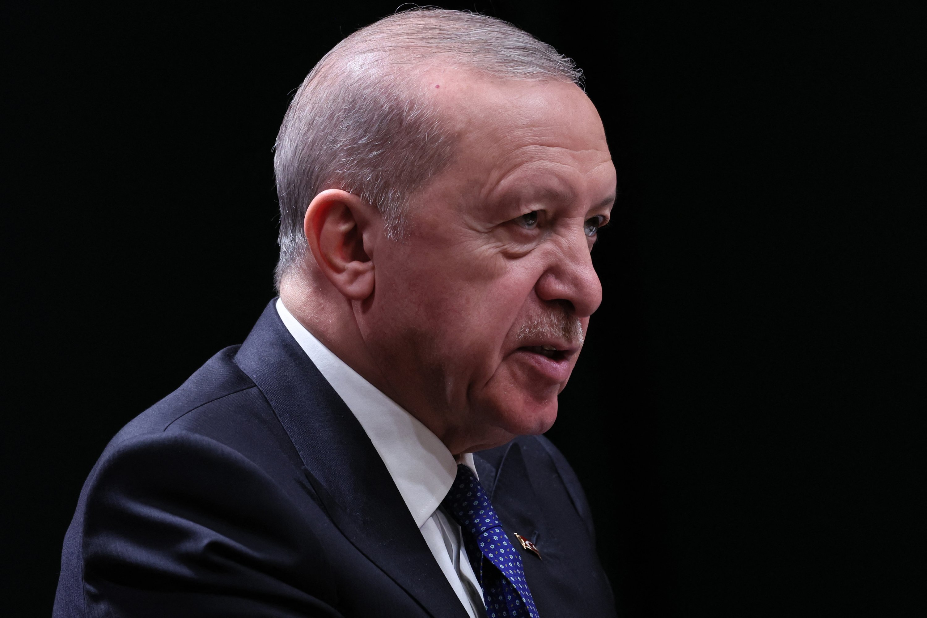 President Erdoğan, Lithuanian PM discuss defense ties, Ukraine peace