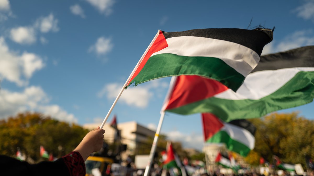 Pro-Palestinian protesters wave Palestinian flags during a demonstration, Washington D.C., U.S., Oct. 21, 2023. (Shutterstock Photo)