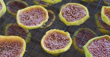 Thinly sliced figs are laid out on drying racks as part of the production process for fig chips, Aydın, Türkiye, Aug. 24, 2026. (IHA Photo)