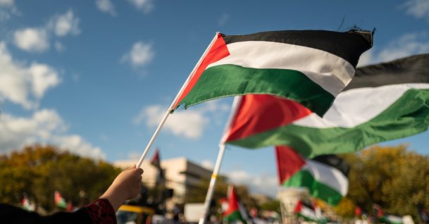 Pro-Palestinian protesters wave Palestinian flags during a demonstration, Washington D.C., U.S., Oct. 21, 2023. (Shutterstock Photo)