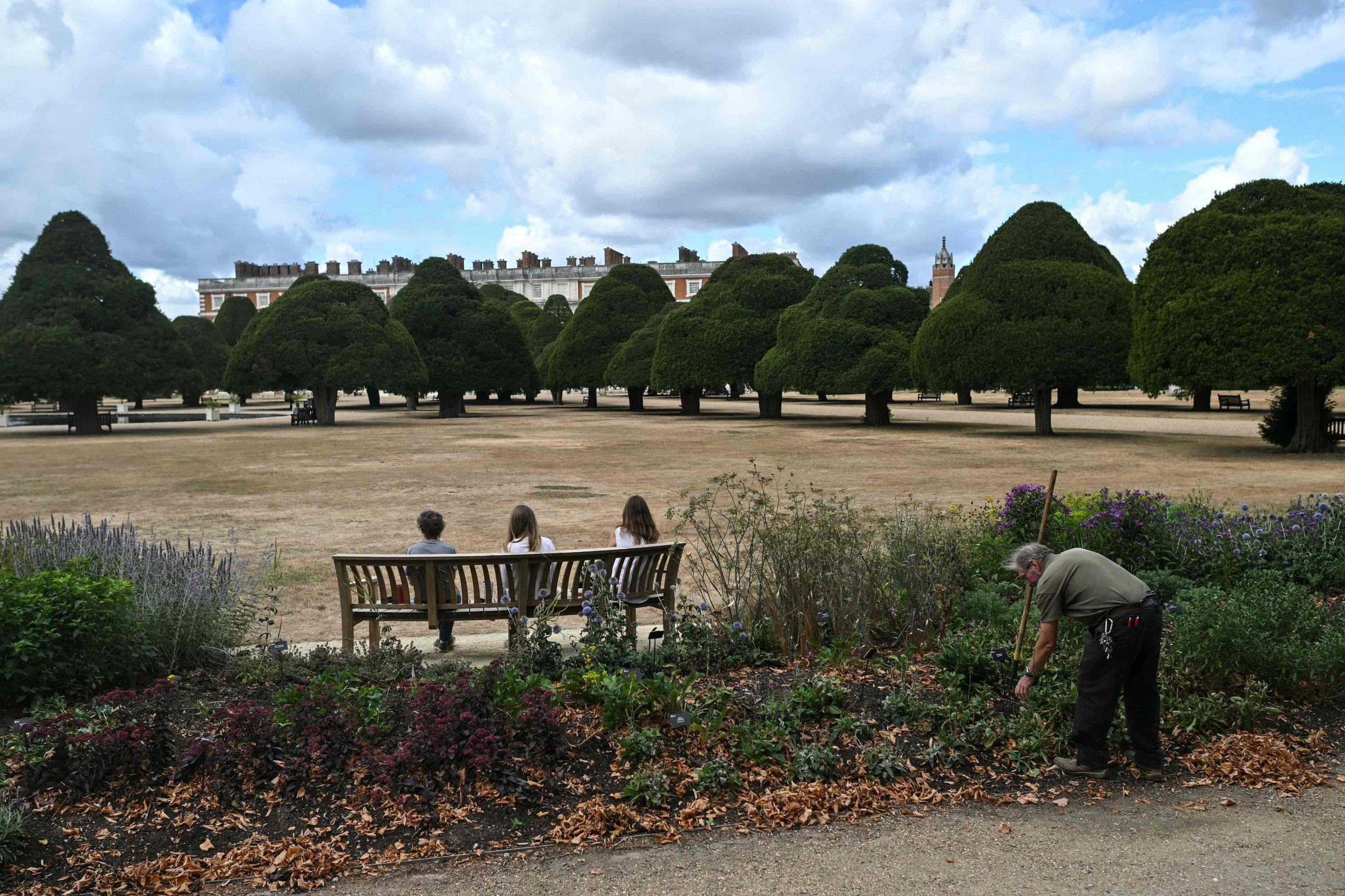 As climate warms, England’s historic gardens struggle to survive