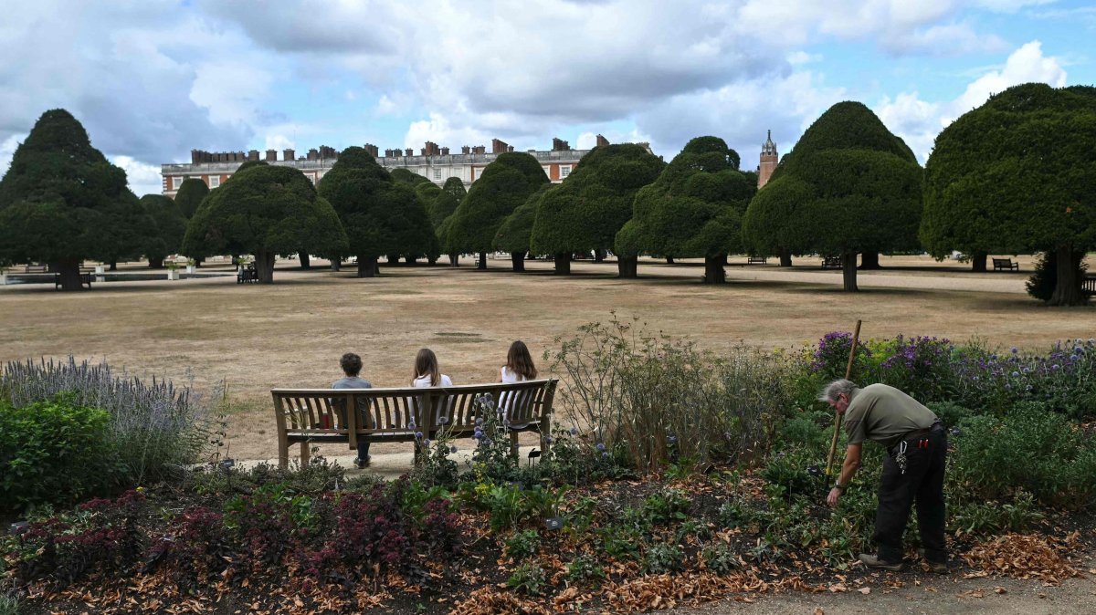 A gardener (R) works on the grounds as visitors (L) sit on a bench, looking out at the sun-scorched grass at Hampton Court, London, U.K., Aug. 20, 2026. (AFP Photo)