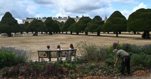A gardener (R) works on the grounds as visitors (L) sit on a bench, looking out at the sun-scorched grass at Hampton Court, London, U.K., Aug. 20, 2026. (AFP Photo)
